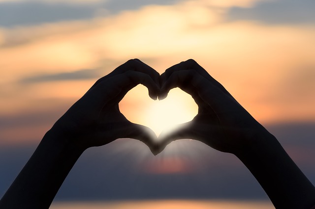 2016 Year of the Heart