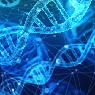Evolve Your DNA and Cellular Structure