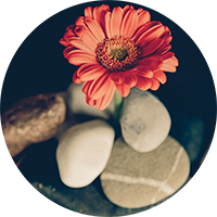 2020: Year of Karmic Freedom
