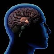 Pineal Gland Activation 1 